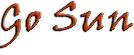 Go Sun :: Chinese Restaurant Ballymena Co. Antrim